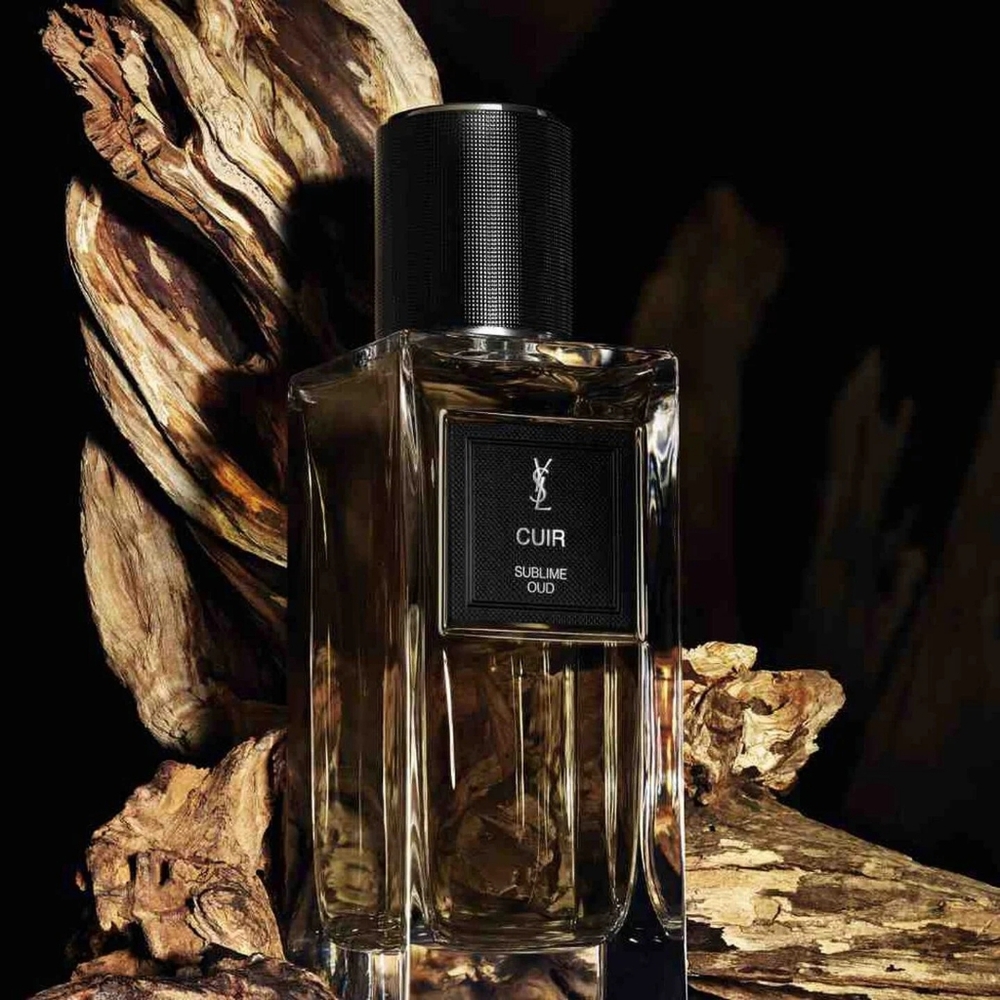 ✨️YSL Cuir MINI✨️